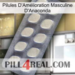 Anaconda Male Enhancement Pills 08